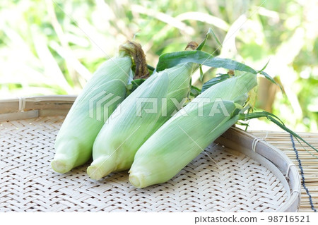 Harvesting 3 corn, bright green natural background, strainer 98716521