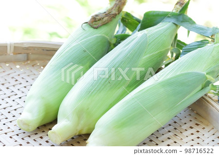 Harvesting 3 corn, bright green natural background, strainer 98716522