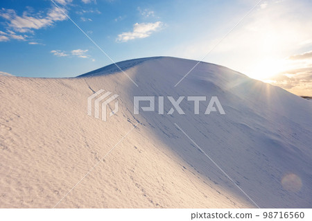 鳥取沙丘的雪景 98716560