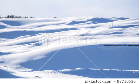 Snowy landscape of Tottori Sand Dunes 98716586