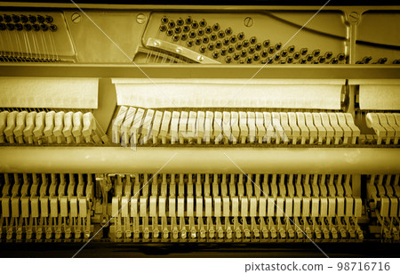 Details of piano mechanism gavel - string, pins and hammers 98716716