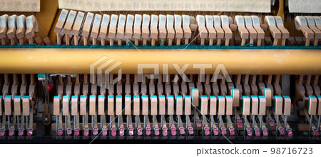 Details of piano mechanism gavel - string, pins and hammers 98716723