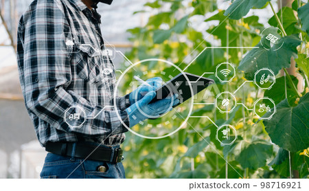 Agriculture technology farmer woman holding tablet or tablet technology to research about agriculture problems analysis data and visual icon. 98716921