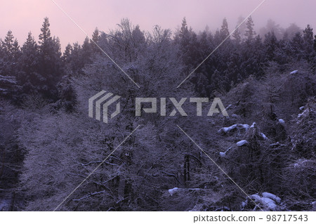 sunrise winter scenery 98717543