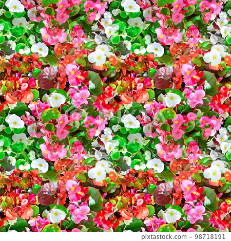 Seamless pattern blooming flower bed 98718191