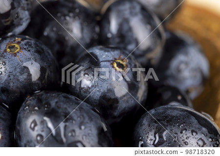 sweet ripe black grapes covered with drops of water sweet ripe black grapes covered with drops of water 98718320