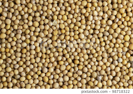 Mustard seeds are orange in color and small in size Mustard seeds are orange in color and small in size 98718322