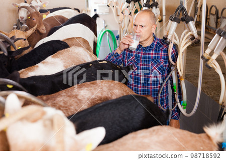 Farmer testing fresh goat milk 98718592