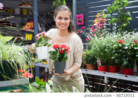 nice european girl looking at flowers in shop nice european girl looking at flowers in shop 98719551