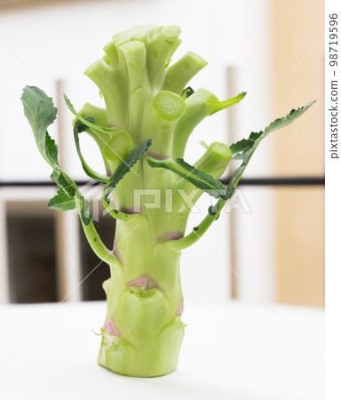 broccoli barrel without inflorescences on white background broccoli barrel without inflorescences on white background 98719596