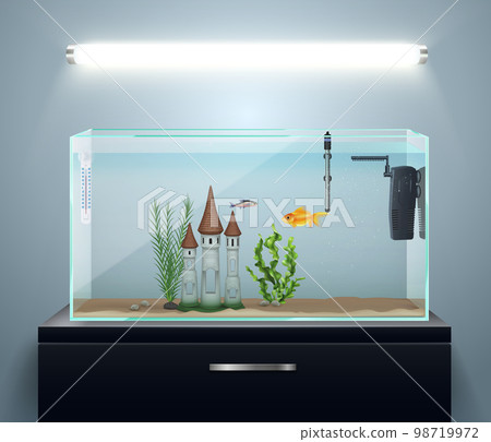 Aquarium Realistic Composition Aquarium Realistic Composition 98719972