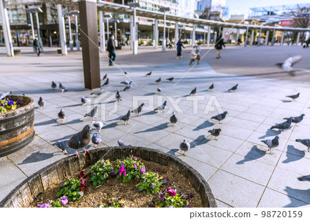 Cityscape of Yokohama, Japan Pigeons in front of the subway Center-Minami Station. Suddenly a flock flew in... 98720159