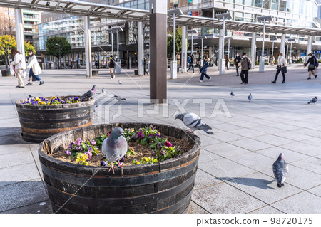 Cityscape of Yokohama, Japan Pigeons in front of the subway Center-Minami Station. Suddenly a flock flew in... 98720175
