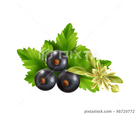 Herbal Tea Ingredients Herbal Tea Ingredients 98720772