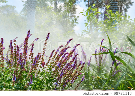 Cheerful joy splashes of raindrops or irrigation systems in a blooming city park Cheerful joy splashes of raindrops or irrigation systems in a blooming city park 98721113