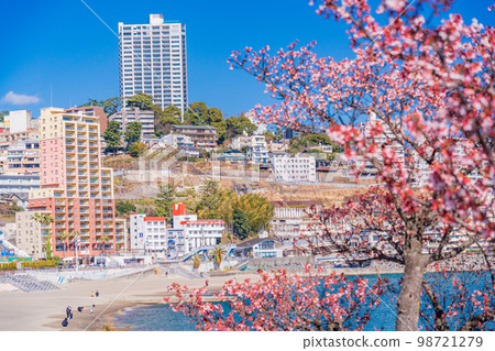 （靜岡縣）熱海水上樂園的熱海櫻花和海邊的酒店區 98721279
