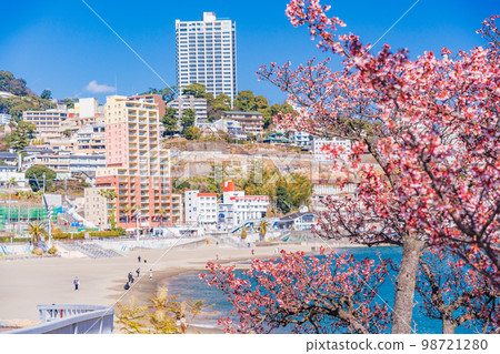 （靜岡縣）熱海水上樂園的熱海櫻花和海邊的酒店區 98721280