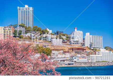 （靜岡縣）熱海水上樂園的熱海櫻花和海邊的酒店區 98721281