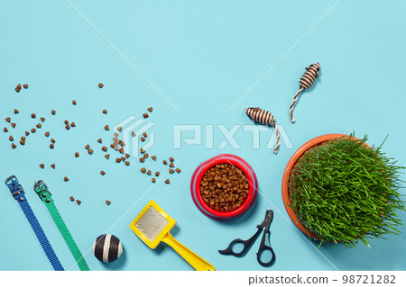 Flat lay composition with accessories for a cat on a blue background. Pet care. 98721282