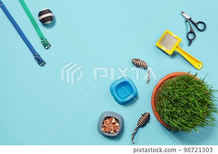 Flat lay composition with accessories for a cat on a blue background. Pet care. Flat lay composition with accessories for a cat on a blue background. Pet care. 98721303