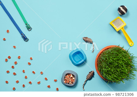 Flat lay composition with accessories for a cat on a blue background. Pet care. Flat lay composition with accessories for a cat on a blue background. Pet care. 98721306