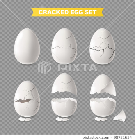 White Egg Transparent Set 98721634