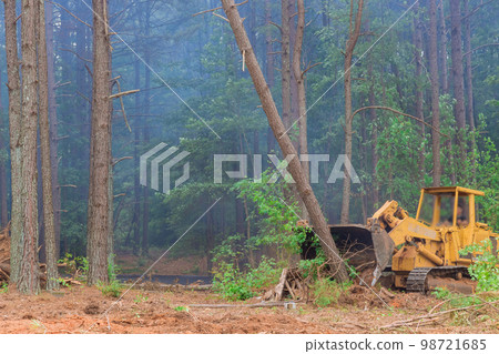 Tractor skid steer was used during construction process in order to remove uprooted trees from land in preparation for subdivision development Tractor skid steer was used during construction process in order to remove uprooted trees from land in preparation for subdivision development 98721685