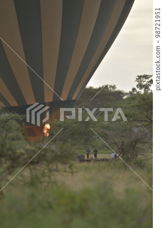 Animals in Africa 98721951