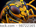 Extreme ultra macro of wasp (Vespula vulgaris) head 98722165