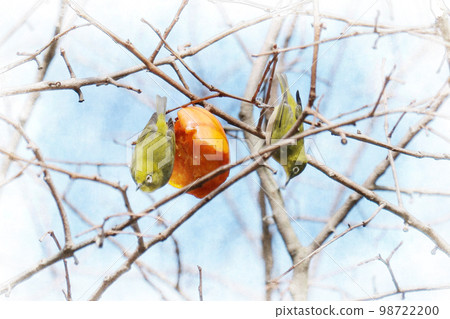 I came to eat persimmons Mejiro 98722200