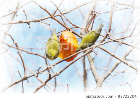 我來吃柿子Mejiro 98722204