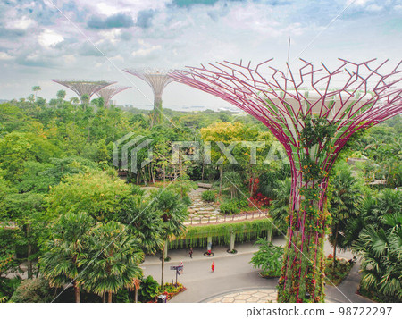 從 Supertree Grove 吊橋看海灣花園 從 Supertree Grove 吊橋看海灣花園 98722297