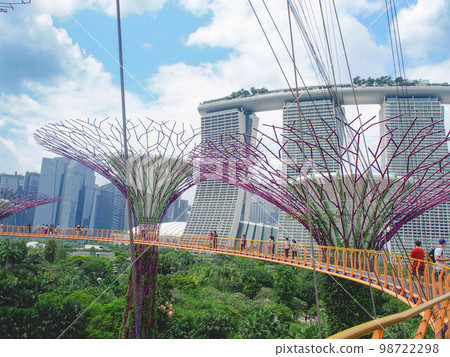 從 Supertree Grove 吊橋看海灣花園 從 Supertree Grove 吊橋看海灣花園 98722298