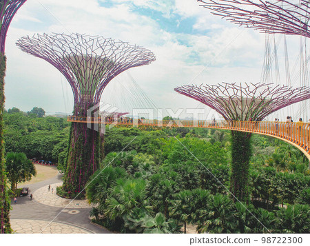 從 Supertree Grove 吊橋看海灣花園 從 Supertree Grove 吊橋看海灣花園 98722300