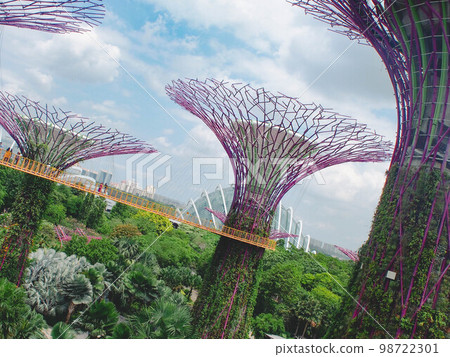 Gardens by the Bay View from the Supertree Grove Suspension Bridge Gardens by the Bay View from the Supertree Grove Suspension Bridge 98722301