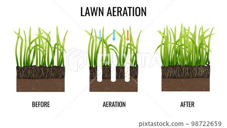 Lawn Aeration Illustration 98722659