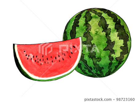 Illustration material of watermelon 98723160