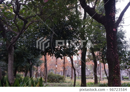 Winter scenery of Osaka Utsubo Park Winter scenery of Osaka Utsubo Park 98723584