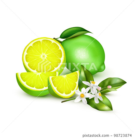 Lemon Lime Realistic Composition Lemon Lime Realistic Composition 98723874