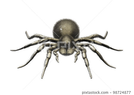 3d rendered of Spider Tarantula. Largest spider in terms of leg-span is the giant huntsman spider 3d rendered of Spider Tarantula. Largest spider in terms of leg-span is the giant huntsman spider 98724877