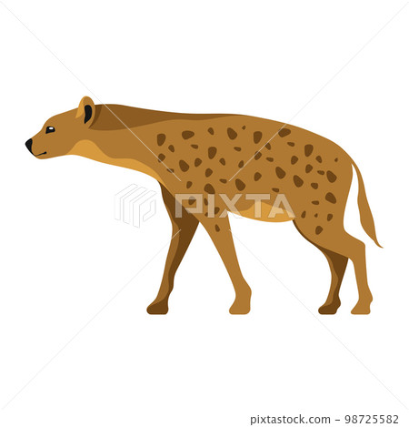 African hyena vector clipart. Hyaena image. 98725582