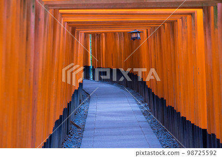 Senbon Torii伏見稻荷神社 98725592