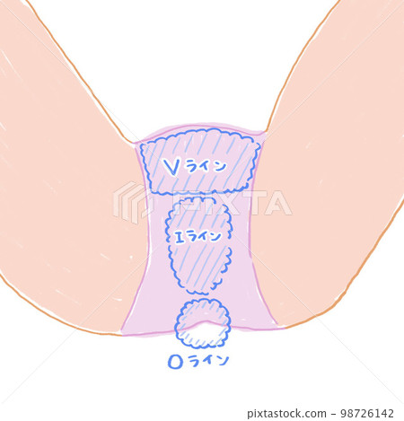 VIO內衣插畫 98726142