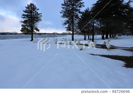 View from Shidahama on Lake Inawashiro in Fukushima Prefecture in the early morning of winter View from Shidahama on Lake Inawashiro in Fukushima Prefecture in the early morning of winter 98726696