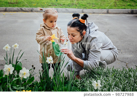 Spring Gardening activities for toddler kids. Senior woman grandmother and little toddler girl granddaughter watering daffodils flowers and Enjoying picnic in spring garden. Spring Gardening activities for toddler kids. Senior woman grandmother and little toddler girl granddaughter watering daffodils flowers and Enjoying picnic in spring garden. 98727988