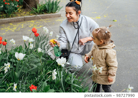 Spring Gardening activities for toddler kids. Senior woman grandmother and little toddler girl granddaughter watering daffodils flowers and Enjoying picnic in spring garden. Spring Gardening activities for toddler kids. Senior woman grandmother and little toddler girl granddaughter watering daffodils flowers and Enjoying picnic in spring garden. 98727990