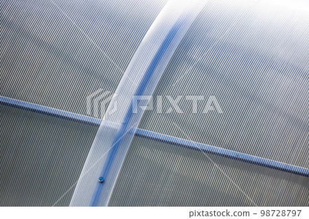 Greenhouse wall made of transparent polycarbonate sheets 98728797
