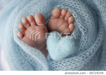 The tiny foot of a newborn baby. Soft feet of a new born in a wool blue blanket. Closeup of toes, heels and feet of a newborn. Knitted blue heart in the legs of baby. Macro studio photography.  98729249