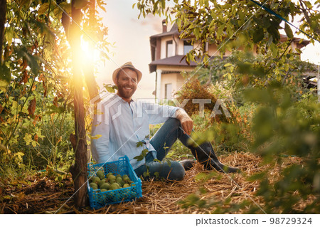 Smiling caucasian farmer wearing straw hat sits on the ground in greenhouse and relax. Sunset on the background. The concept of organic gardening and local farming 98729324