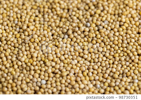 Mustard seeds are orange in color and small in size Mustard seeds are orange in color and small in size 98730351